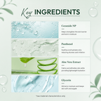 Oil Free Gel Moisturizer Key Ingredients